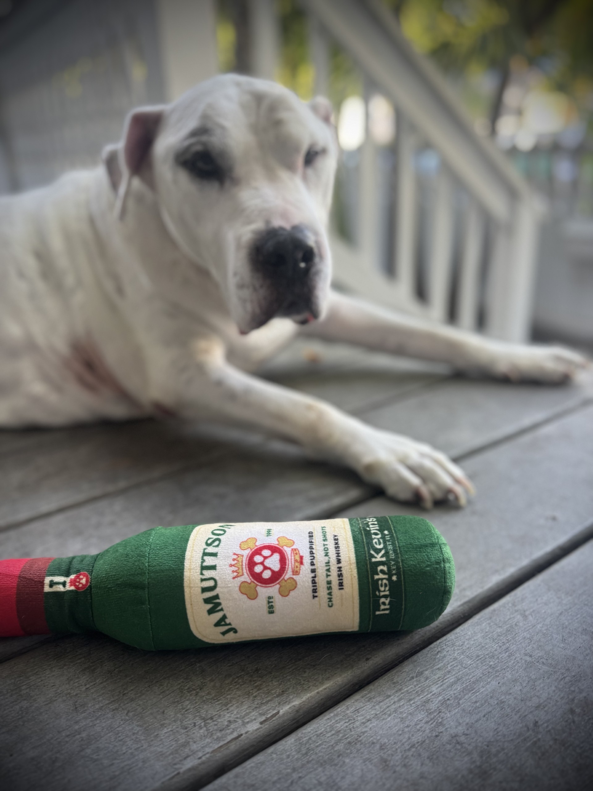 JAMUTTSON IRISH WHISKEY PLUSH DOG TOY - Image 3